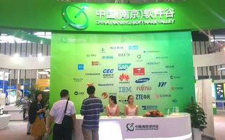 第十三屆中國南京國際軟件產(chǎn)品和信息服務(wù)交易博覽會盛大開幕，聚焦信息咨詢服務(wù)新趨勢
