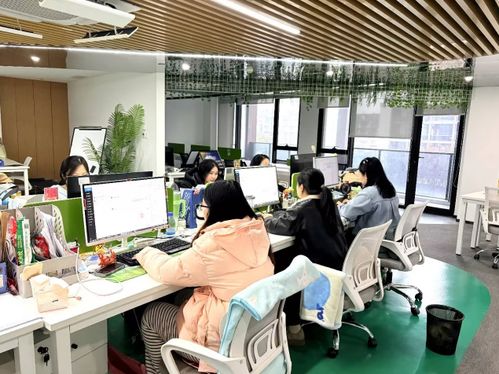 生鮮私域行業(yè)服務(wù)新范本 213集市“春節(jié)不打烊”背后的用戶思維與信息咨詢服務(wù)